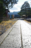 Arashiyama 051